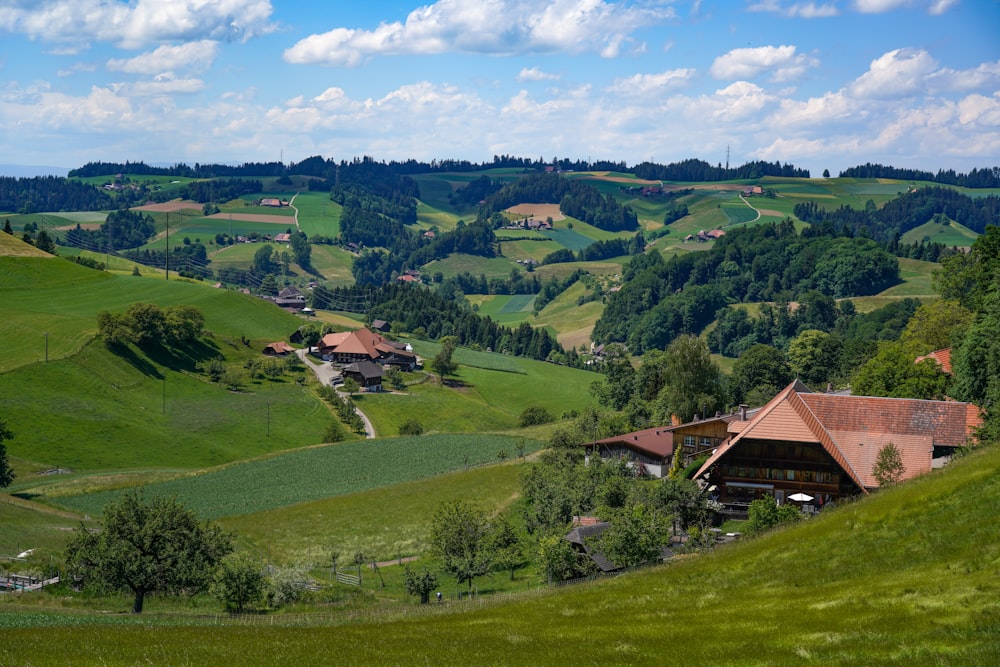 a lush green hillside covered in lots of trees