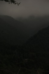 Screenshot of a pixel-art style adventure game with a dark, moody forest background.