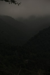 A dark, misty landscape representing the Faydark universe.
