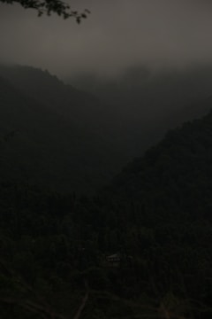 Screenshot of a pixel-art style adventure game with a dark, moody forest background.