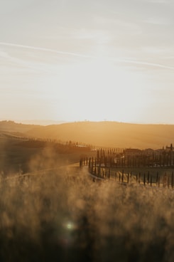 the sun is setting over a field of tall grass