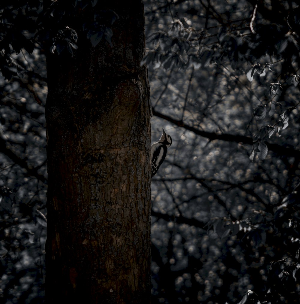 Ein Vogel sitzt an der Seite eines Baumes