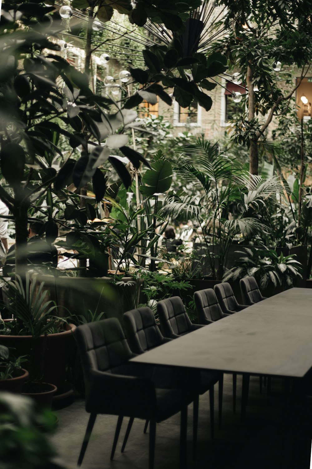 a long table surrounded by lots of plants