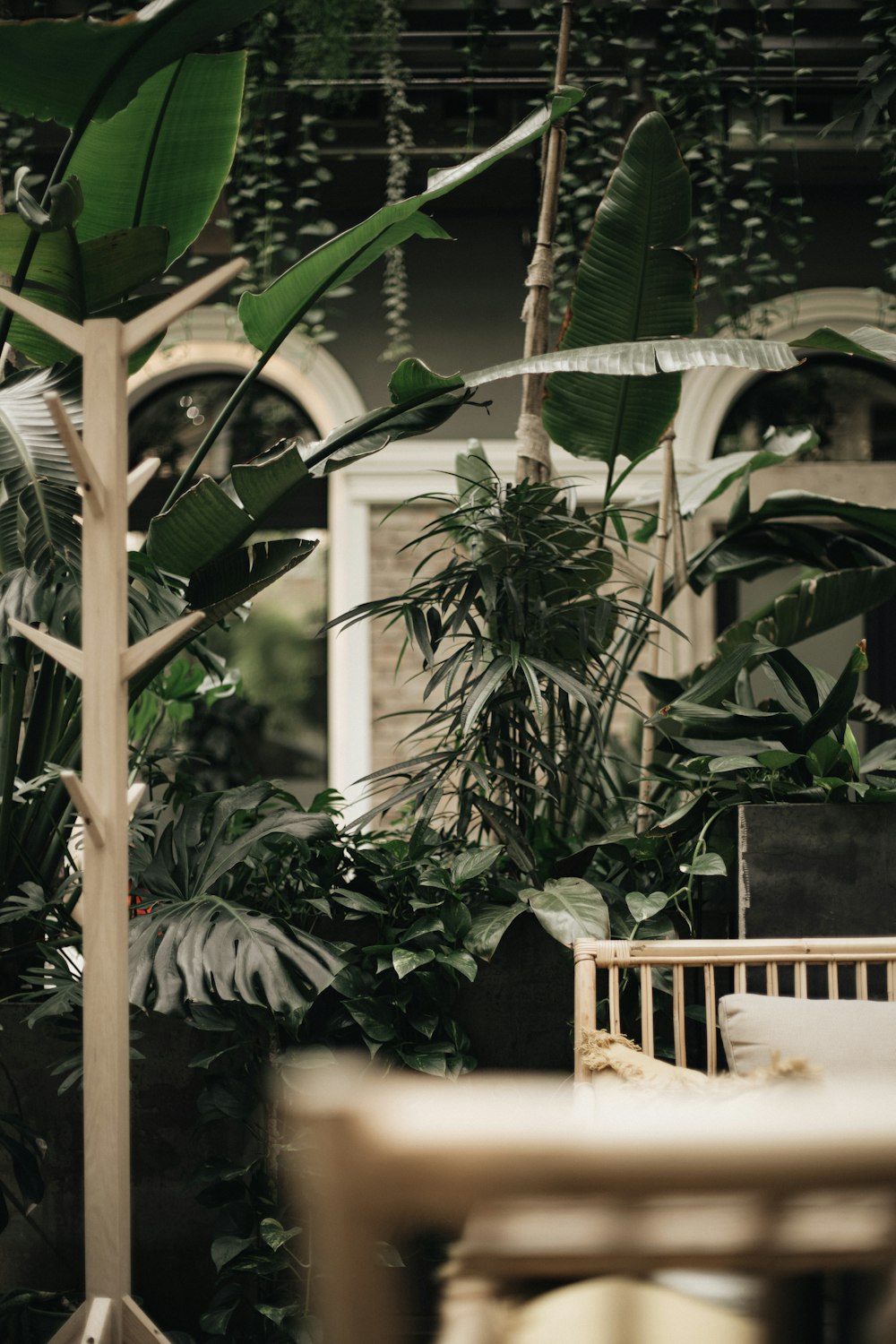 a room filled with lots of green plants