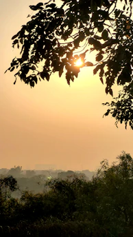 A serene sunrise over a misty forest, symbolizing hope and renewal for the earth.