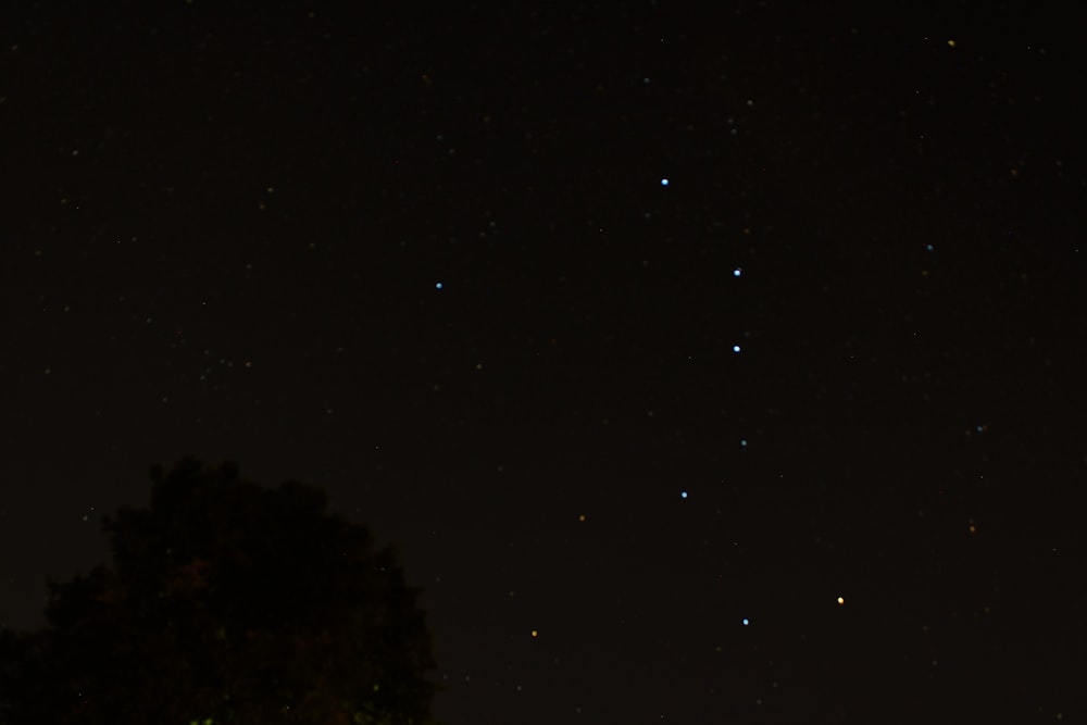 El cielo nocturno con estrellas y árboles en primer plano