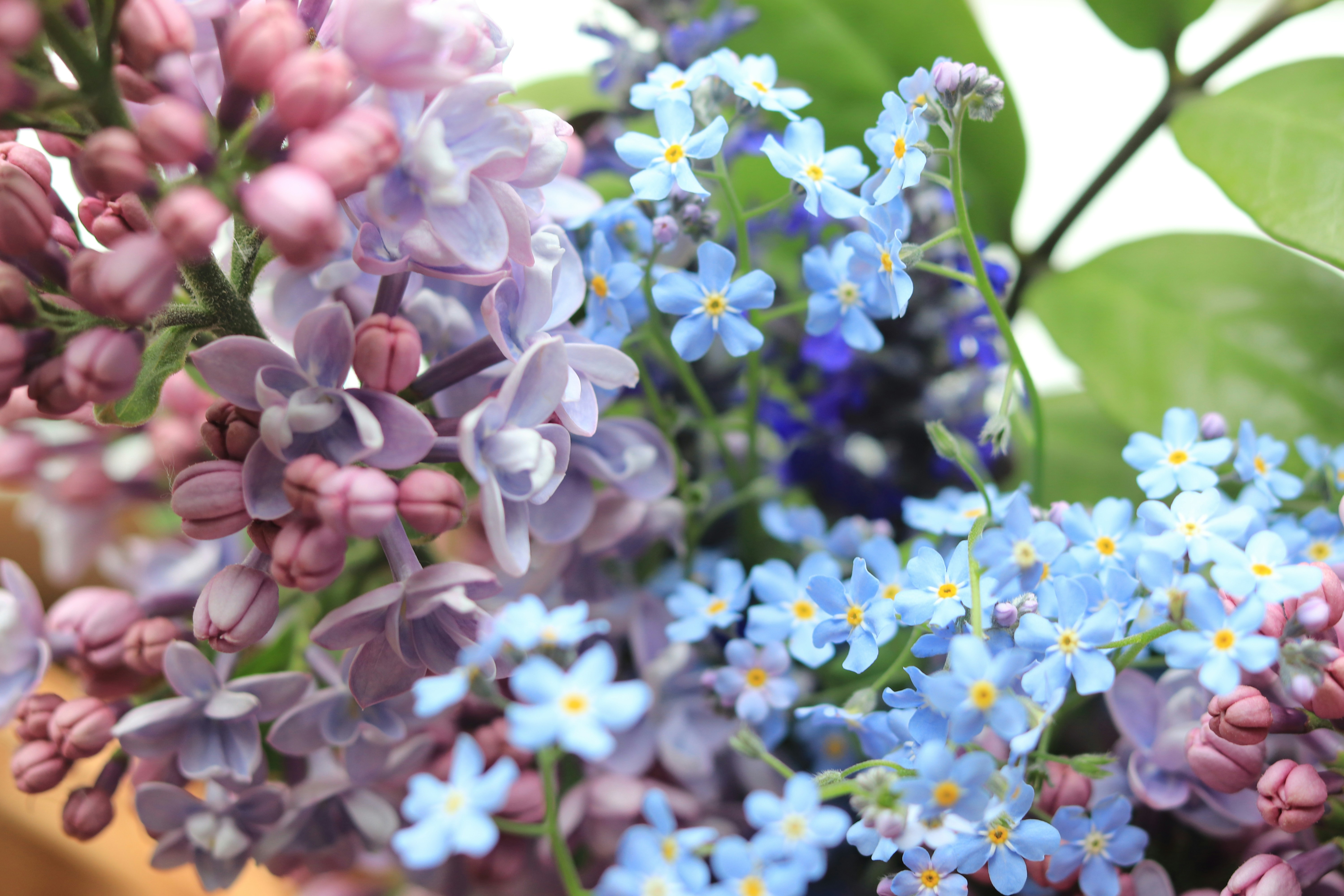 Photo by milagrosira999