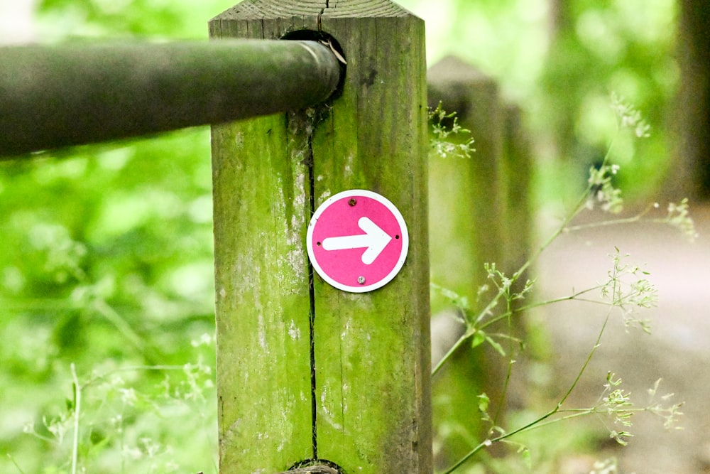 a close up of a green pole