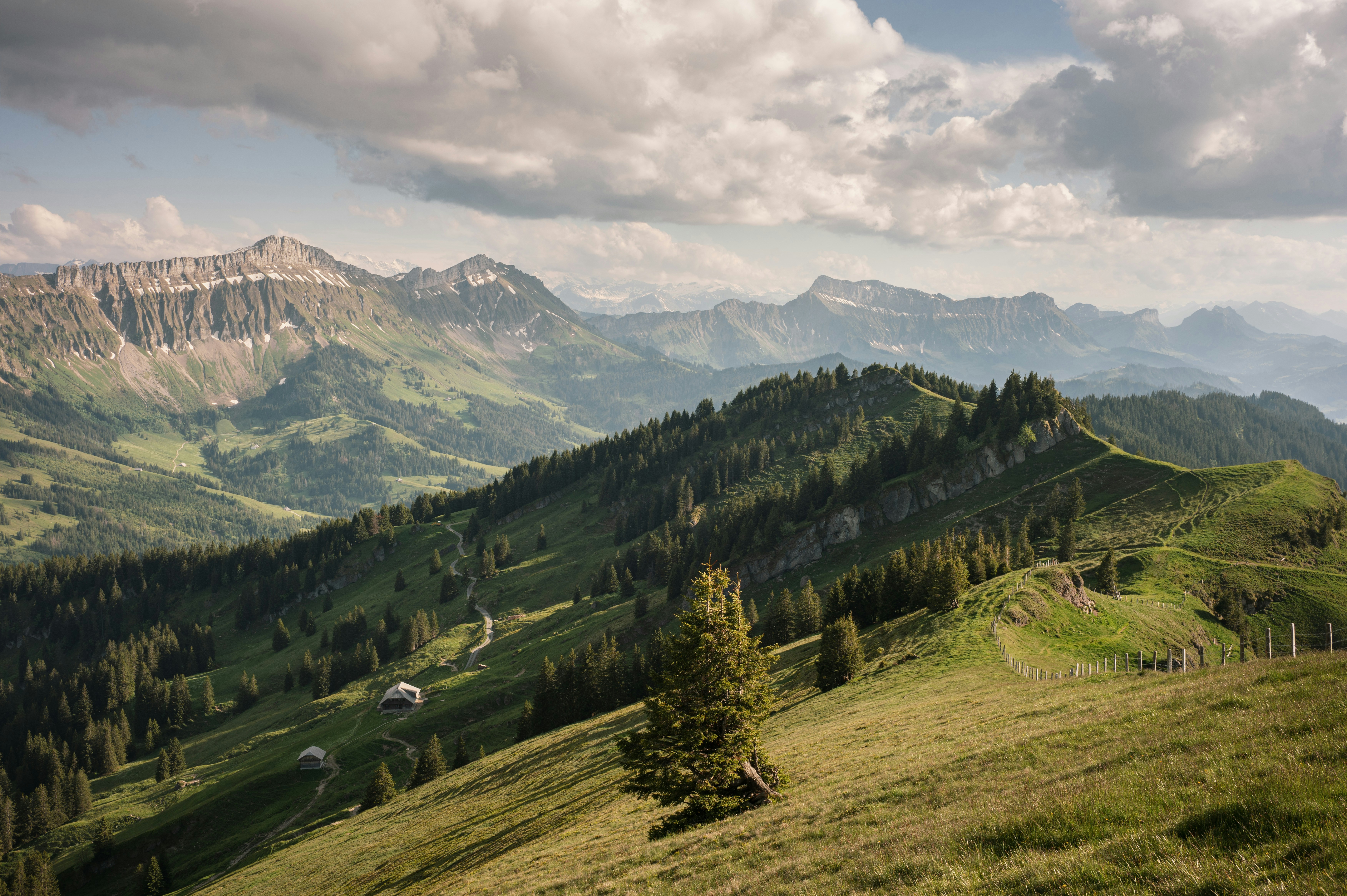 Photo by fabianbetto