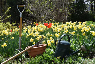 a garden filled with lots of yellow flowers