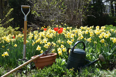 a garden filled with lots of yellow flowers