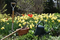 a garden filled with lots of yellow flowers