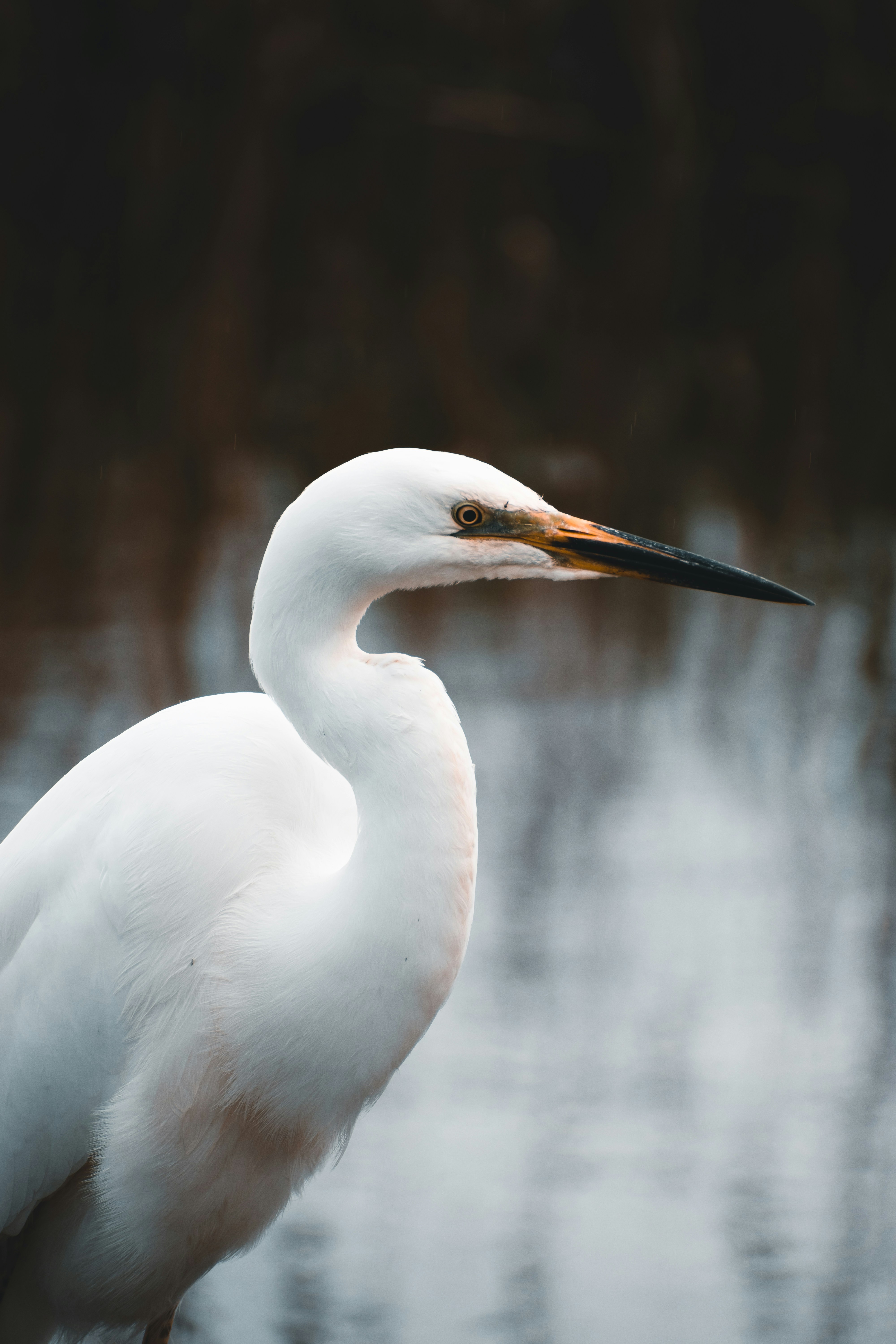 Photo by christina_kozak