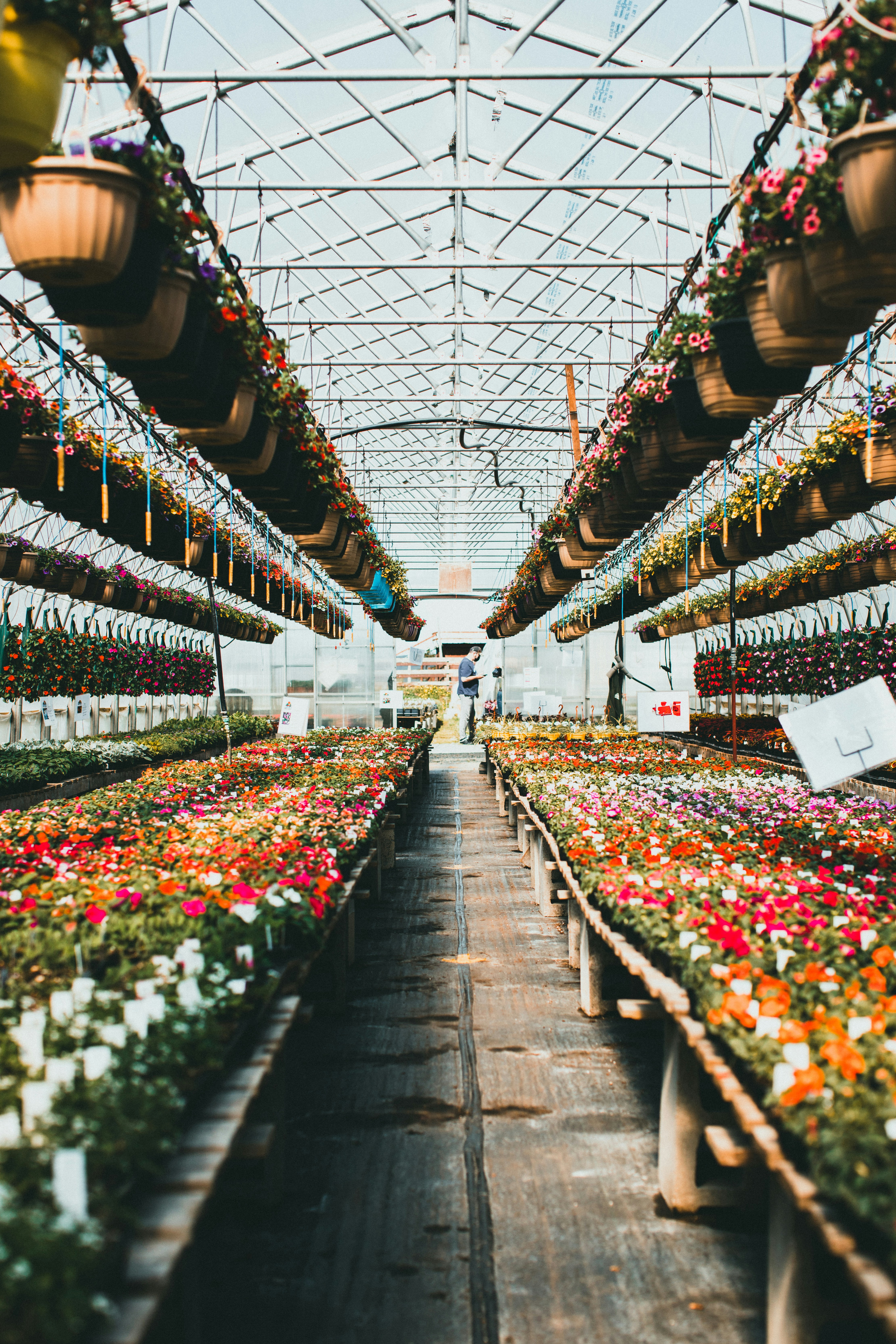 Photo by theshuttervision