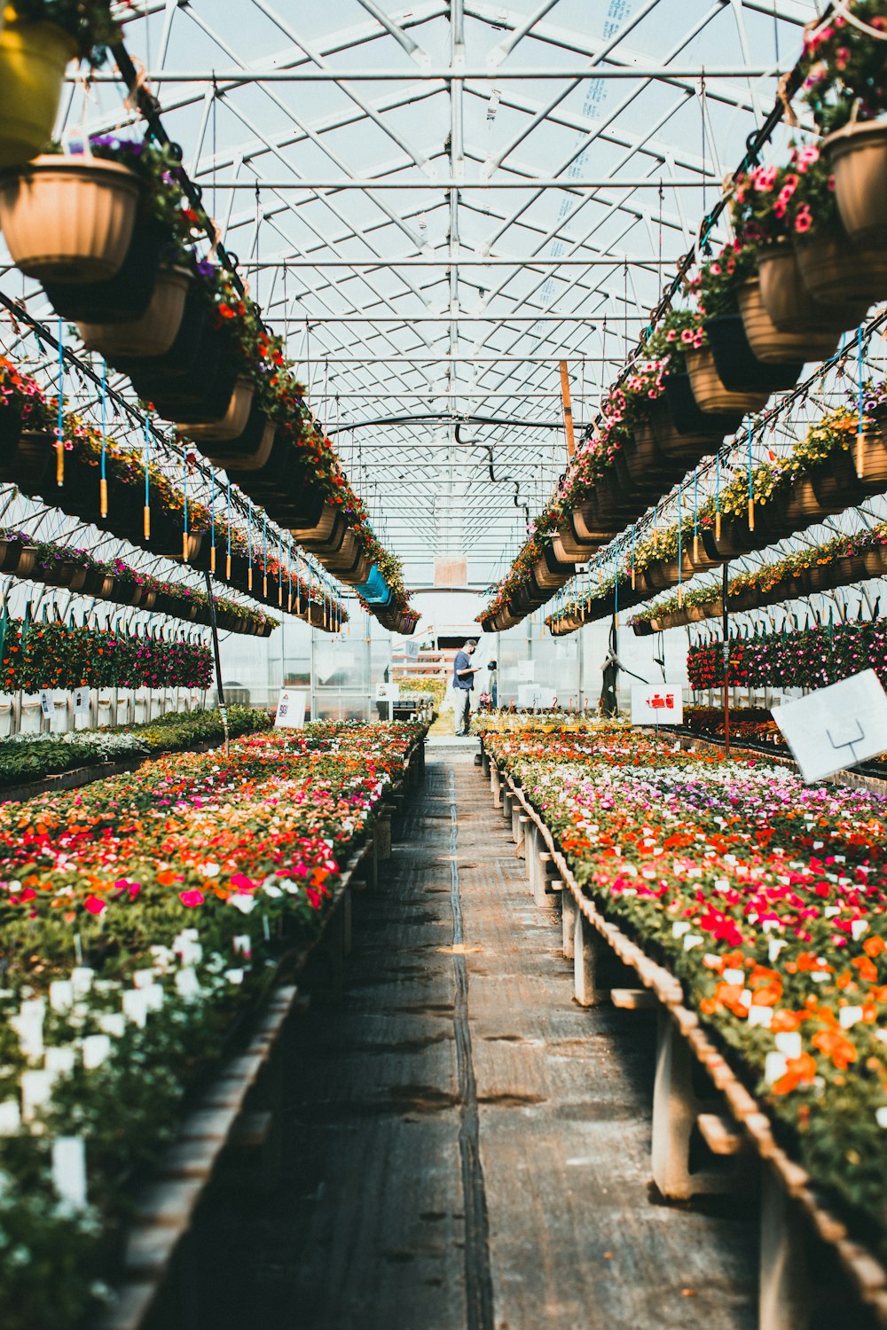 a large greenhouse filled with lots of flowers