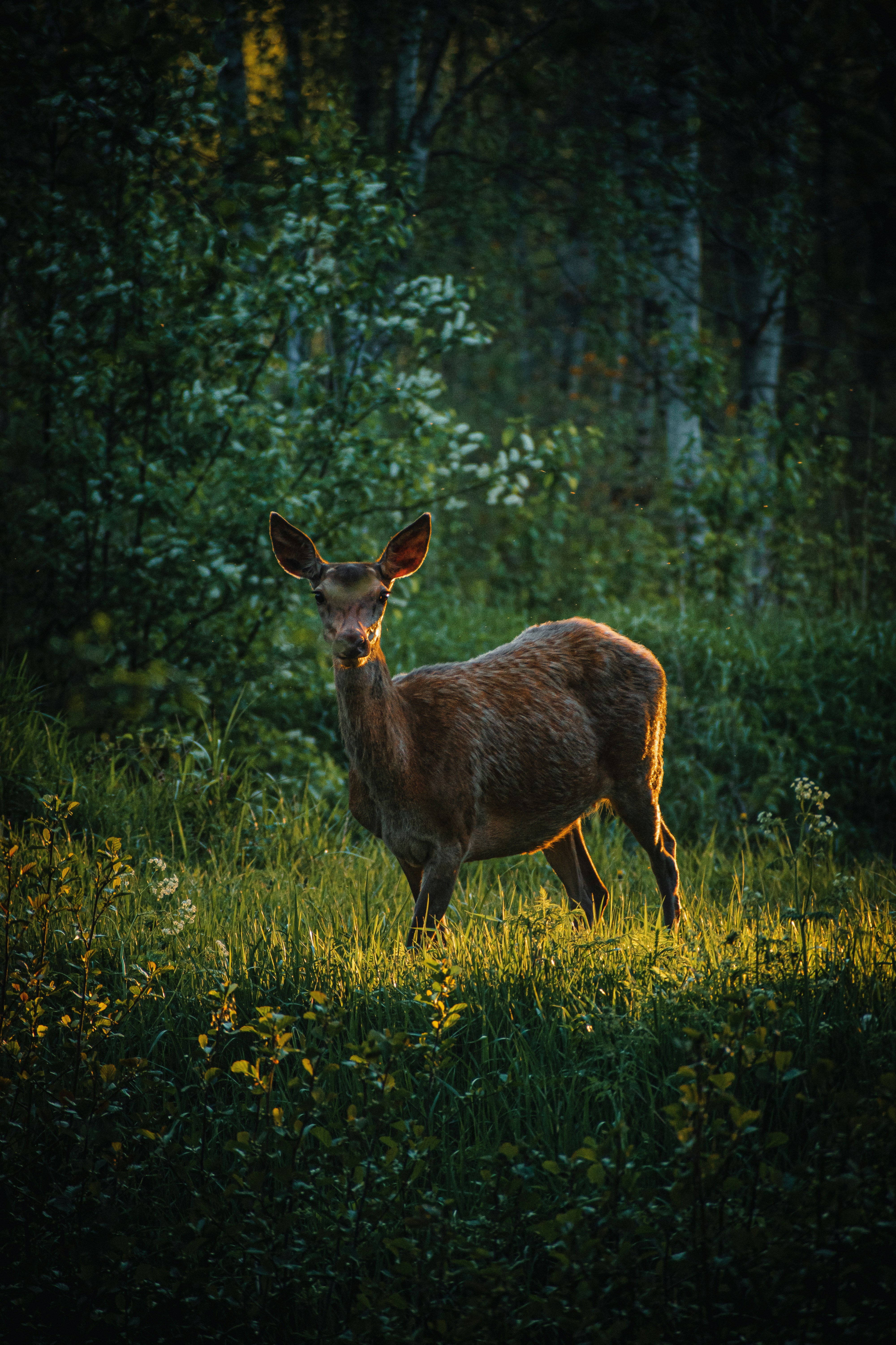 Photo by christina_kozak