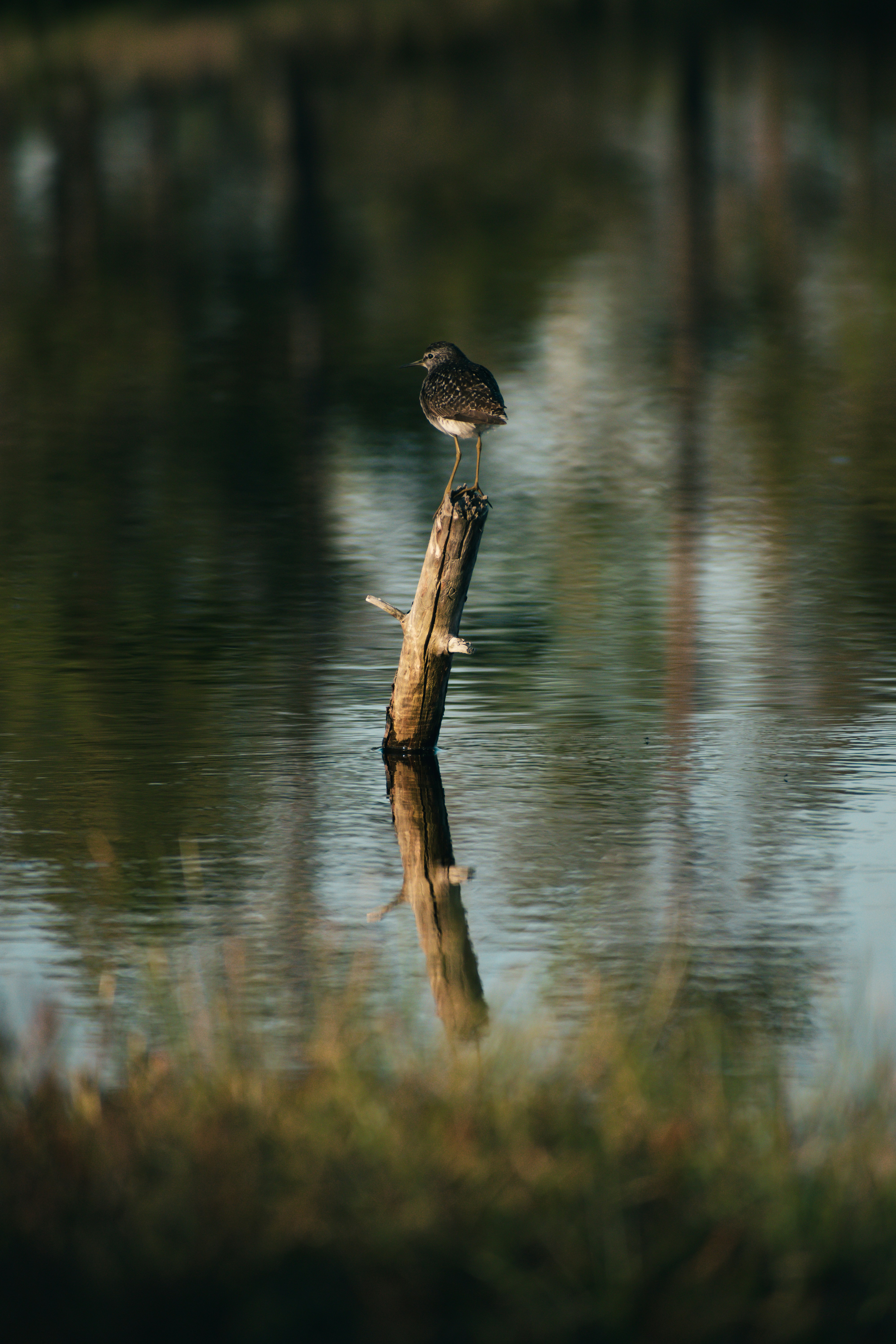 Photo by christina_kozak