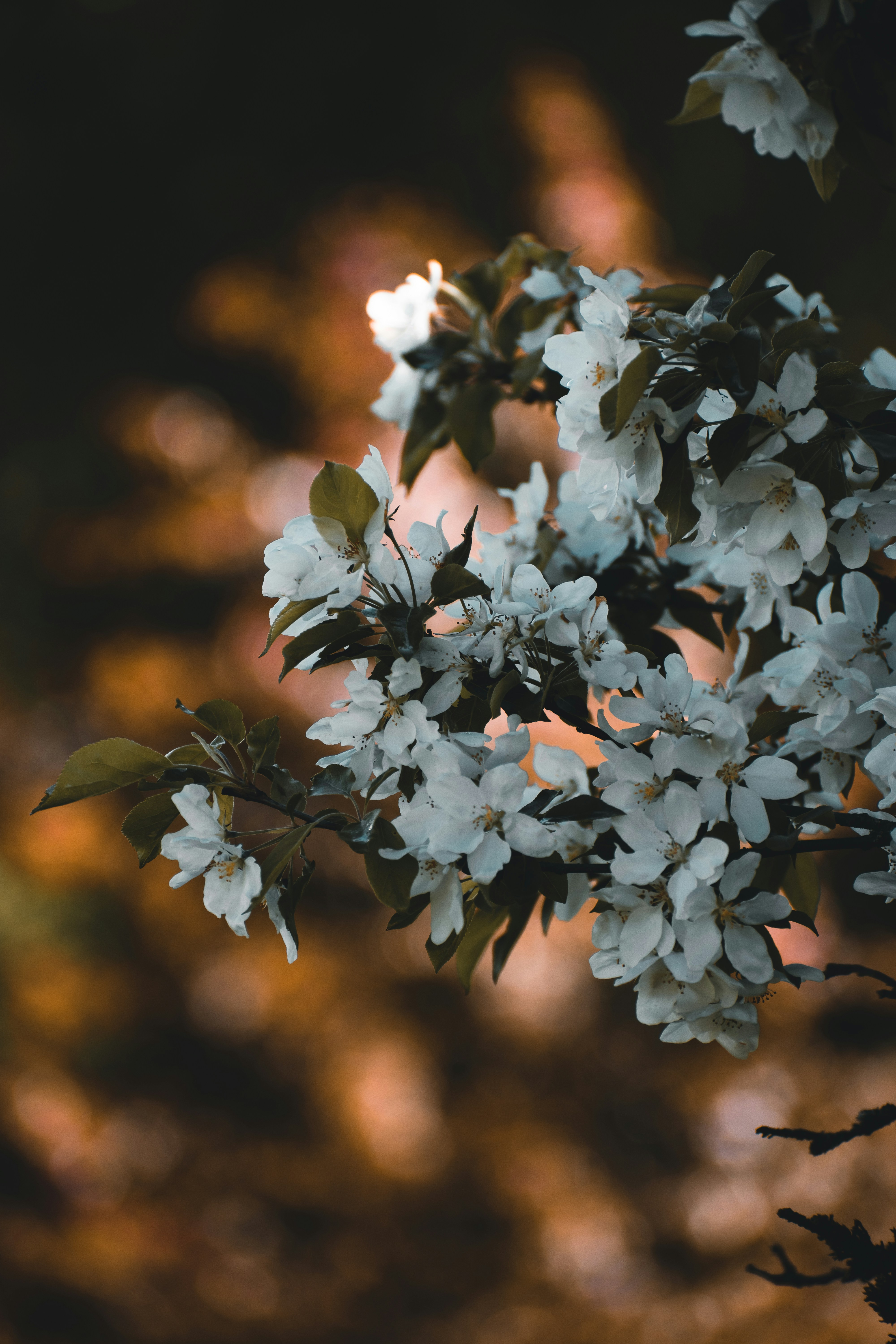 Photo by christina_kozak