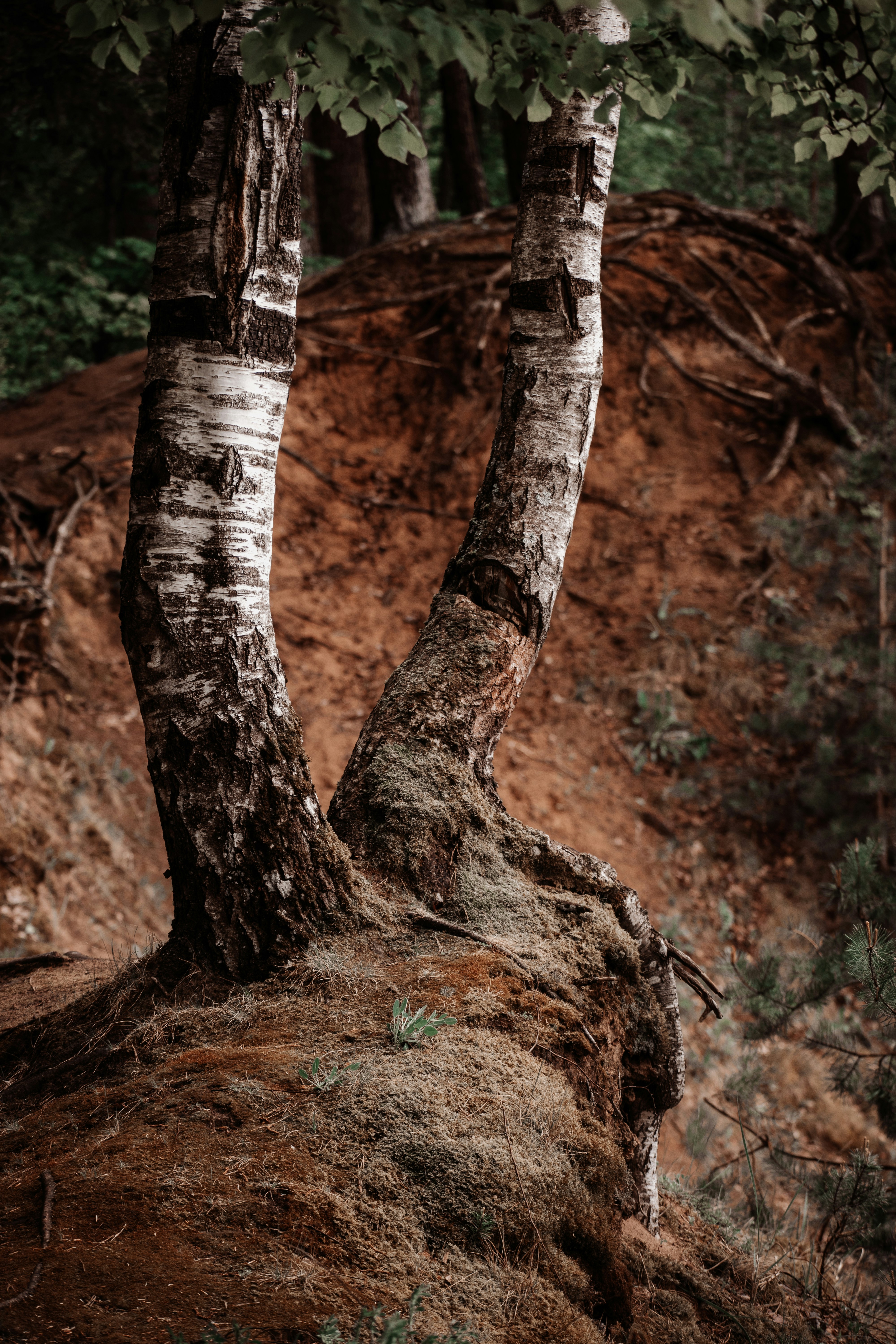 Photo by christina_kozak