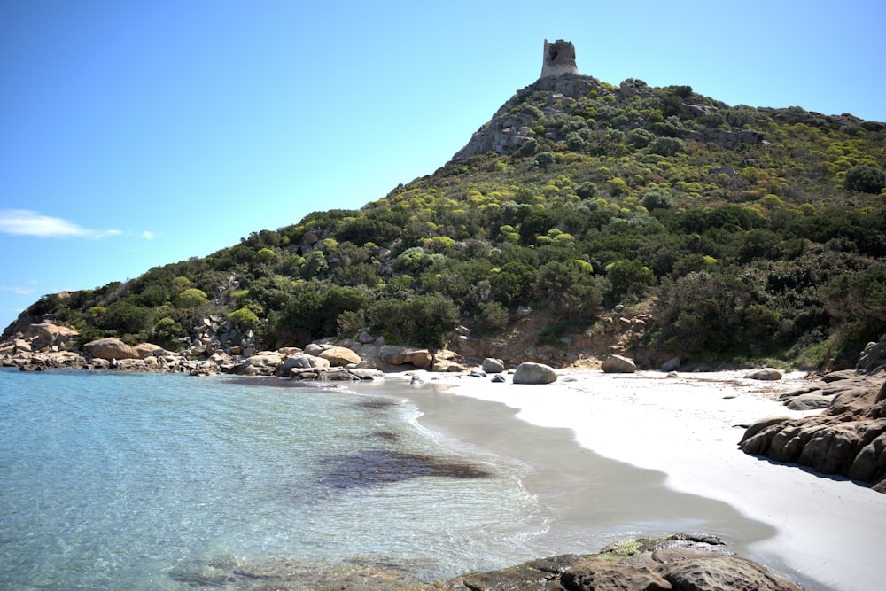 a beach with a mountain in the background