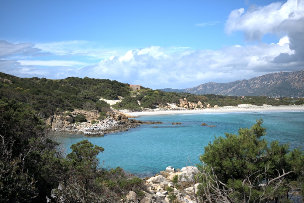 a body of water surrounded by trees and mountains