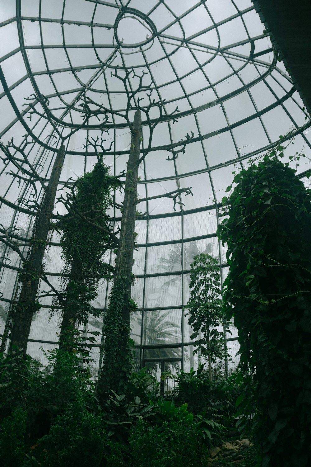 the inside of a building with a glass roof