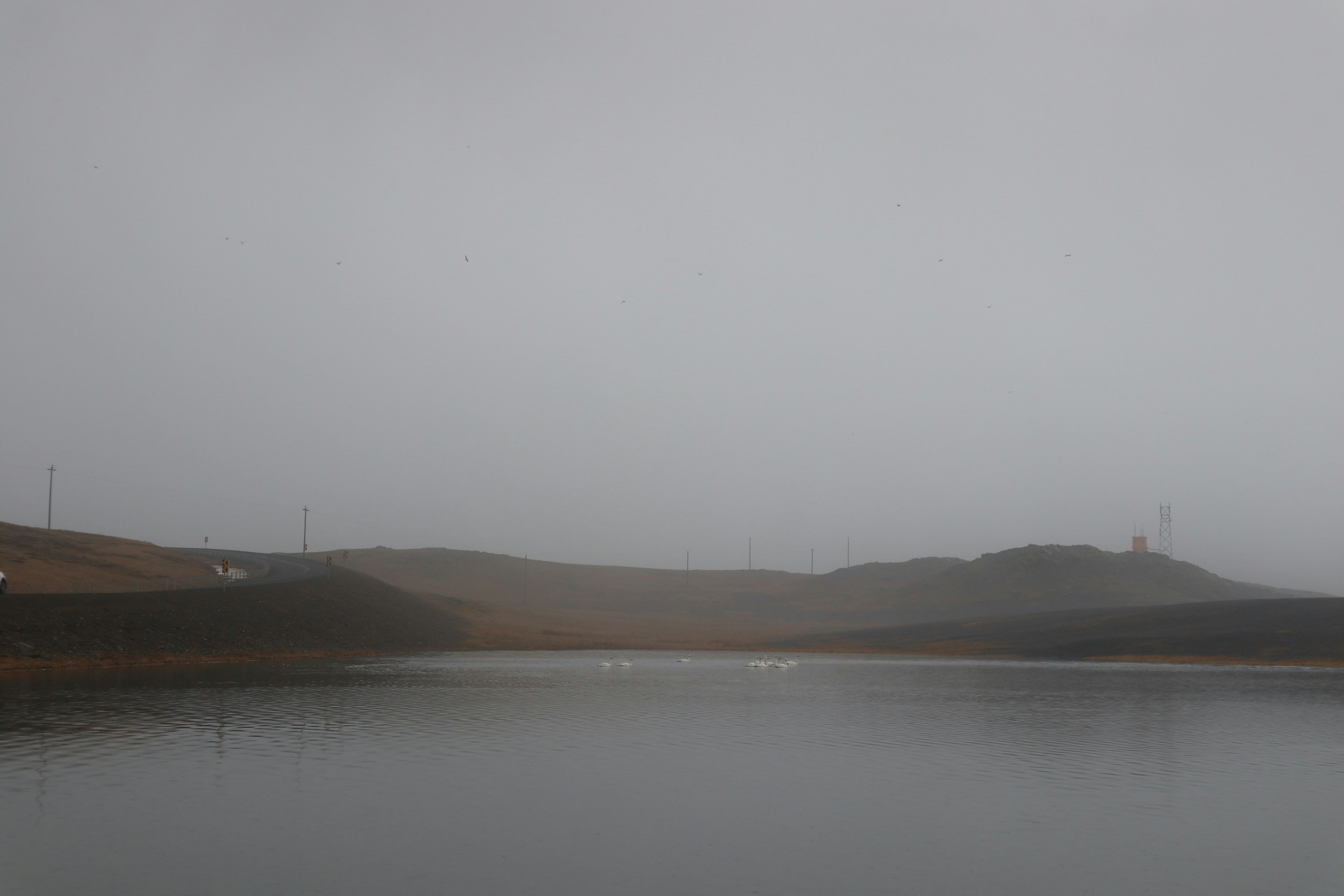 Photo by telun_photo