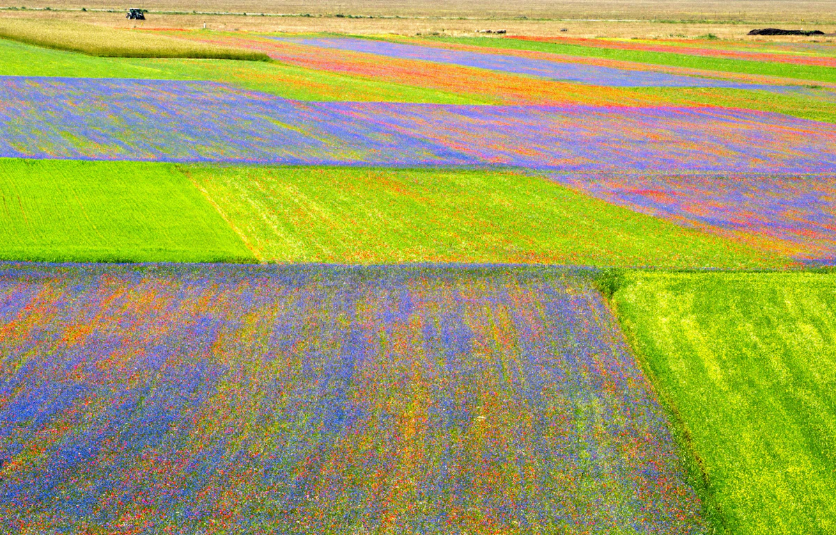 Bright aerial view of fields