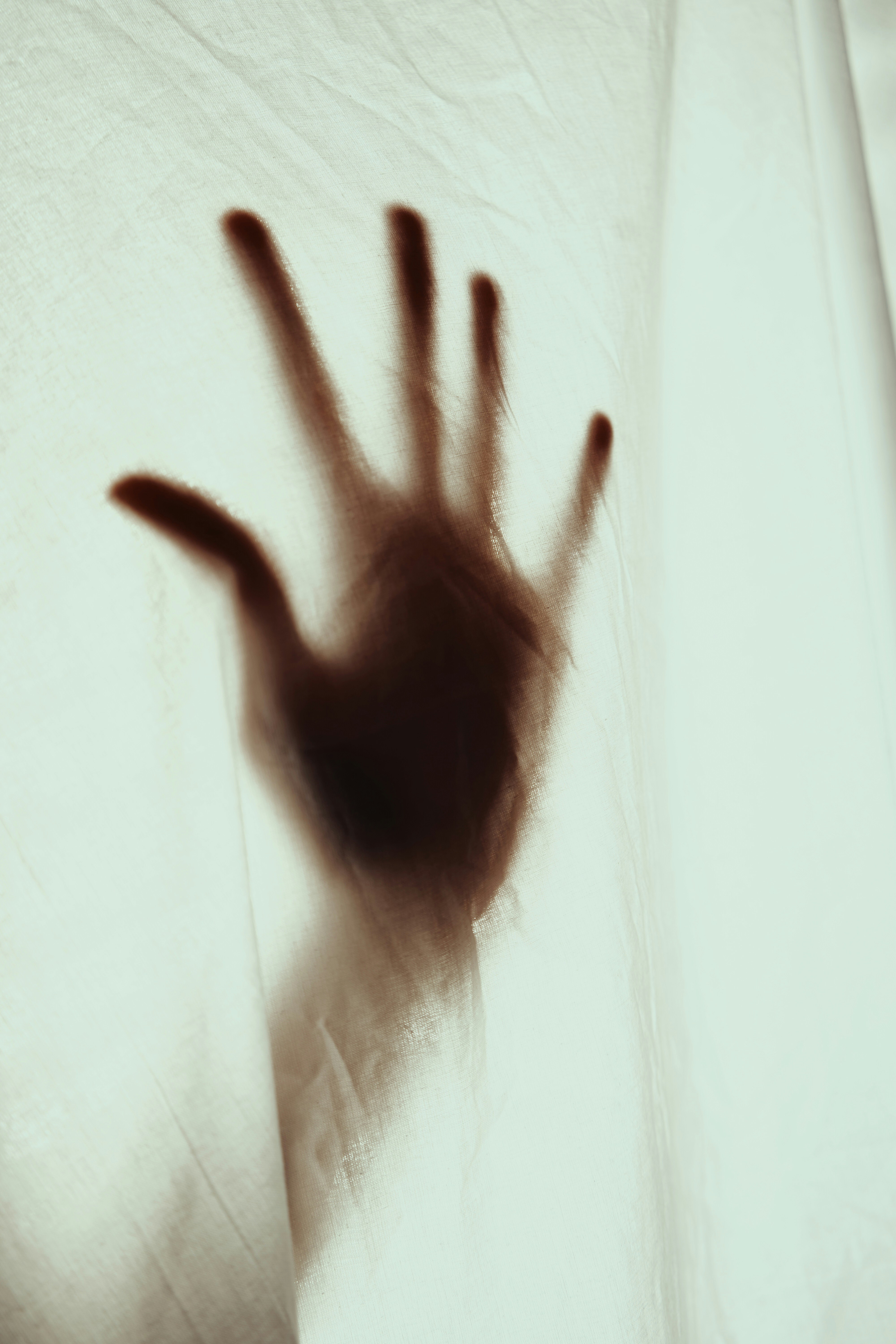 Photo by raoufnouari