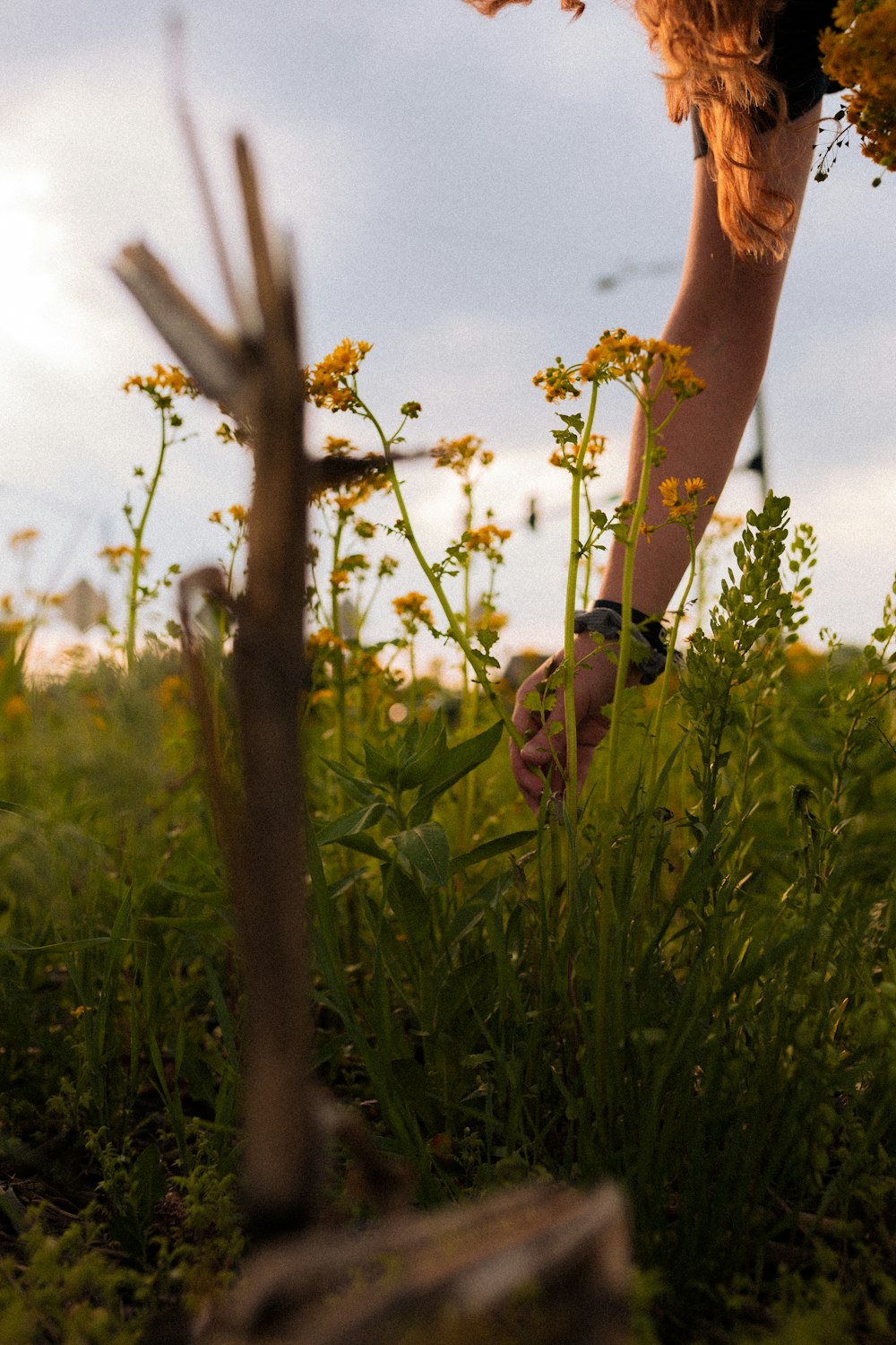 a woman bending over in a field of flowers