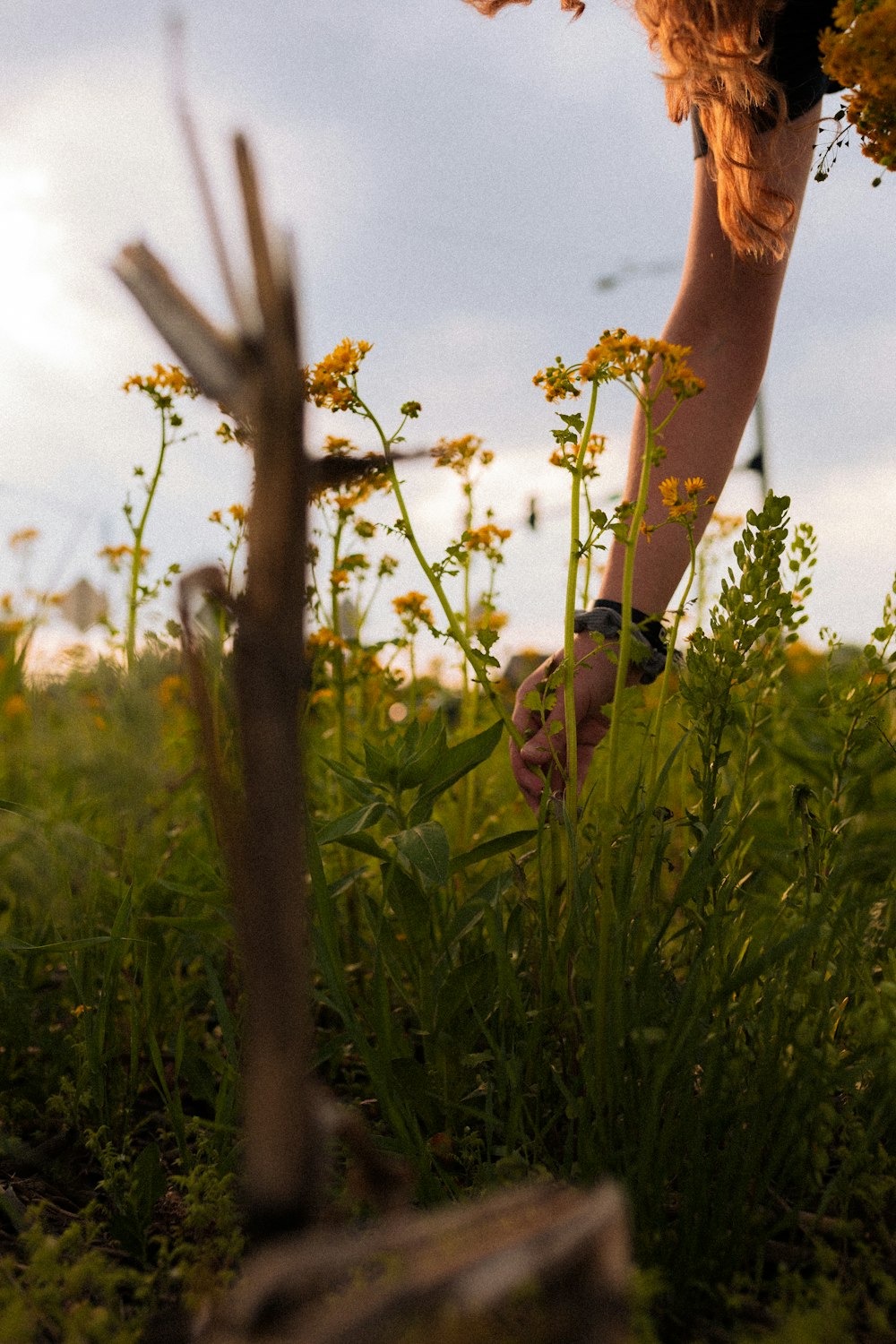 uma mulher curvando-se em um campo de flores