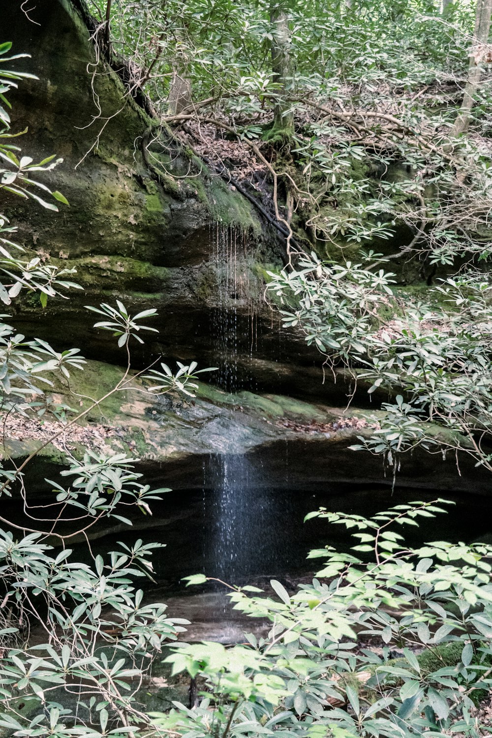 a small waterfall in the middle of a forest