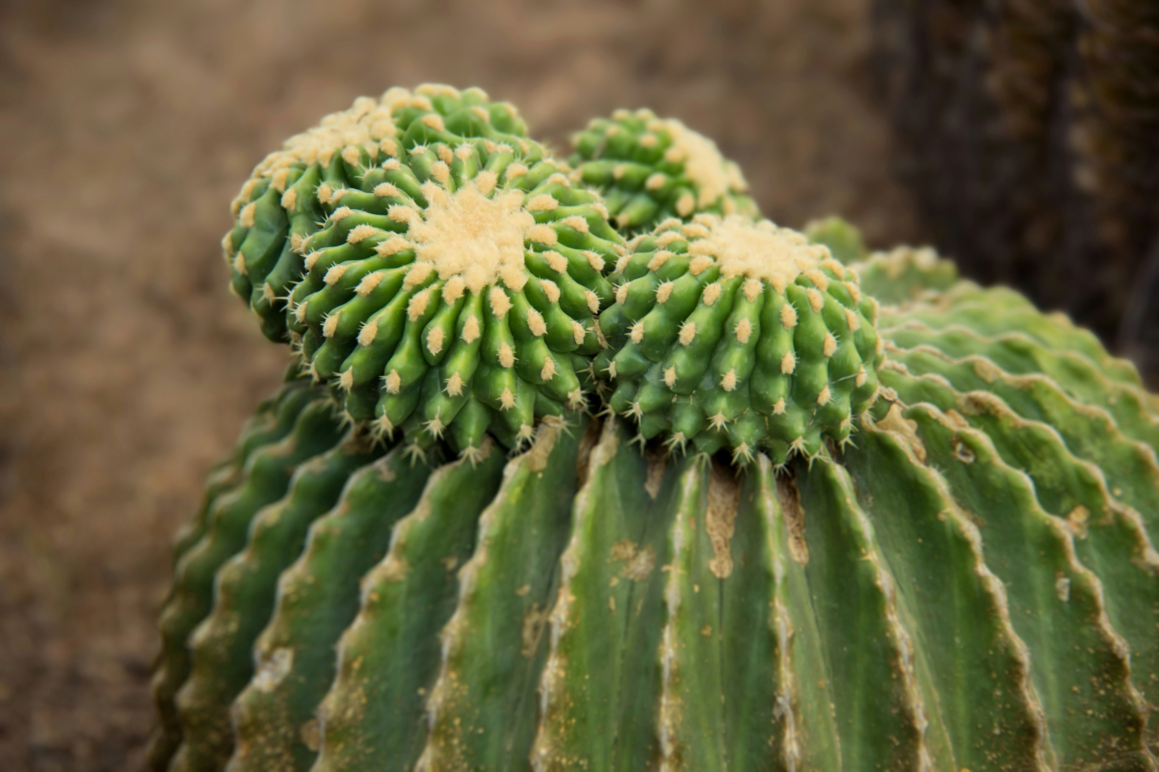 Photo by kengkengkreingkrai