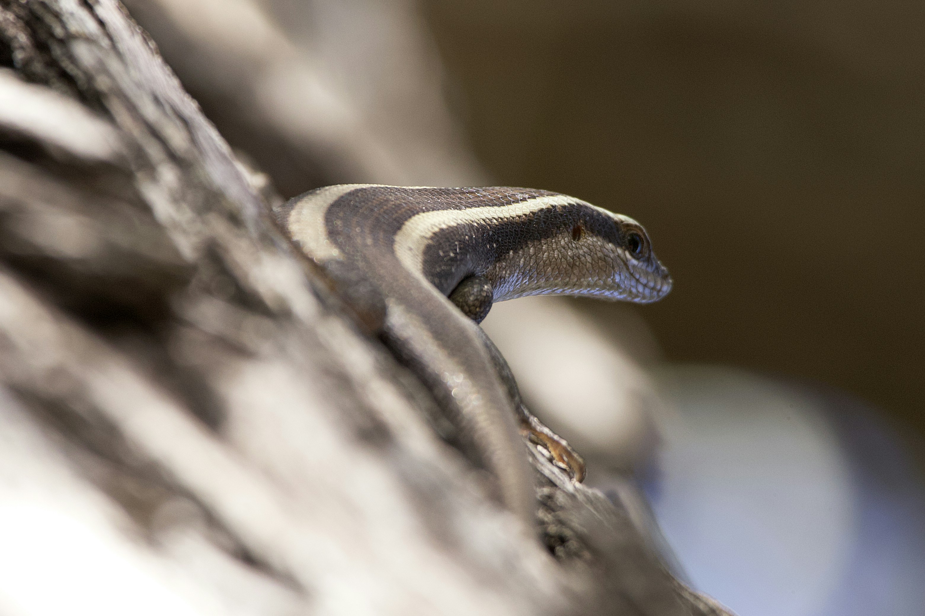 Photo by miguelalcantara