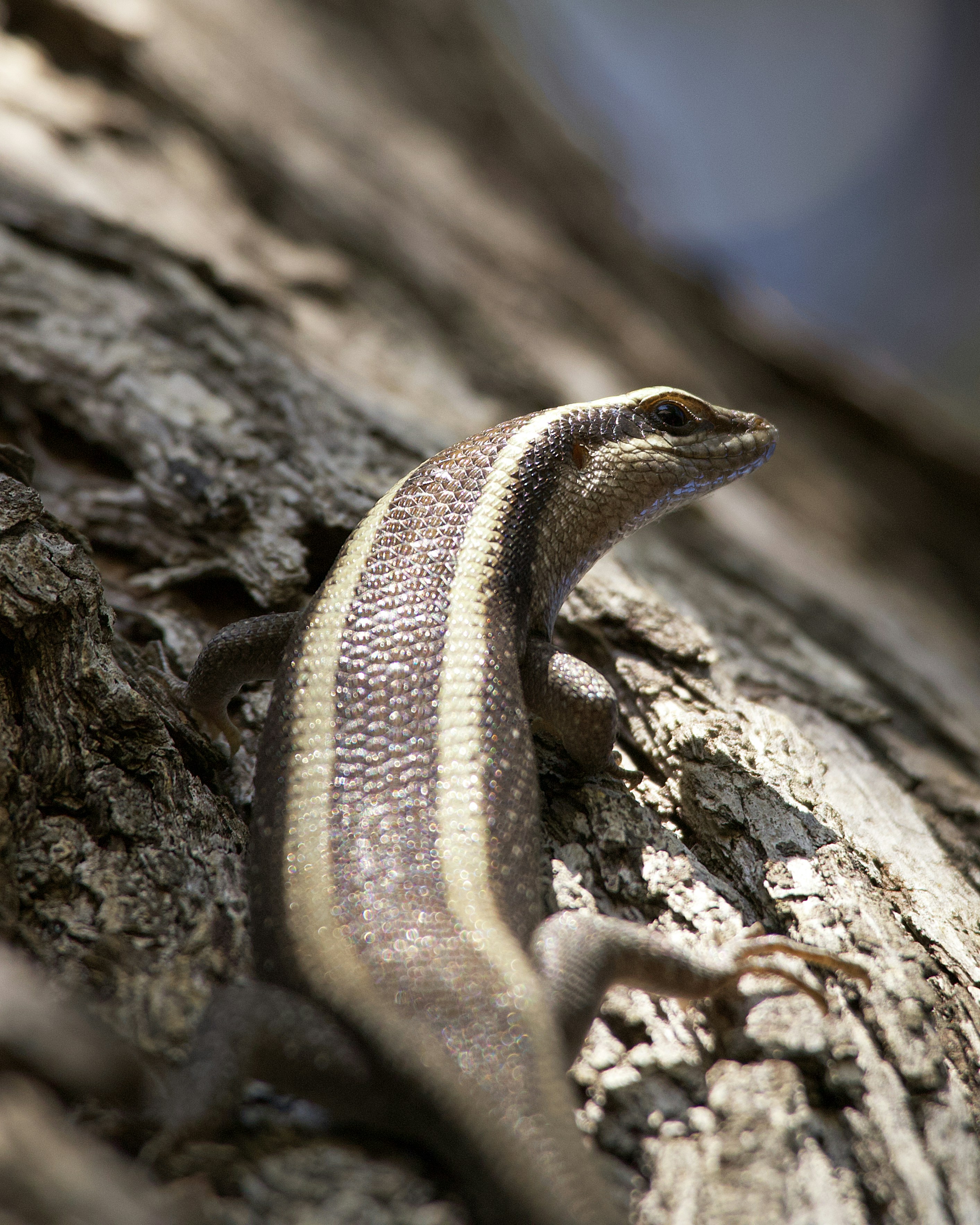 Photo by miguelalcantara