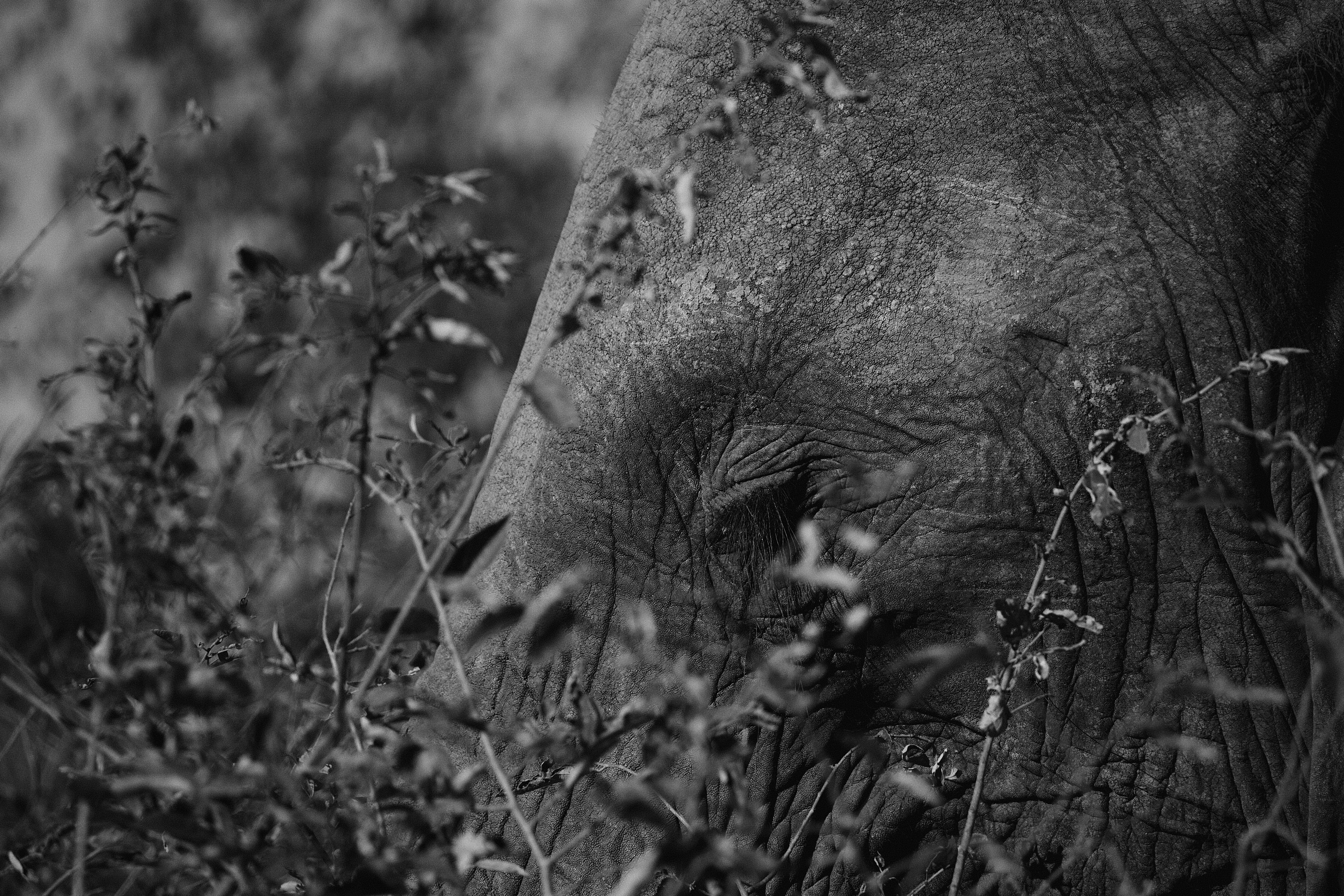 Photo by miguelalcantara