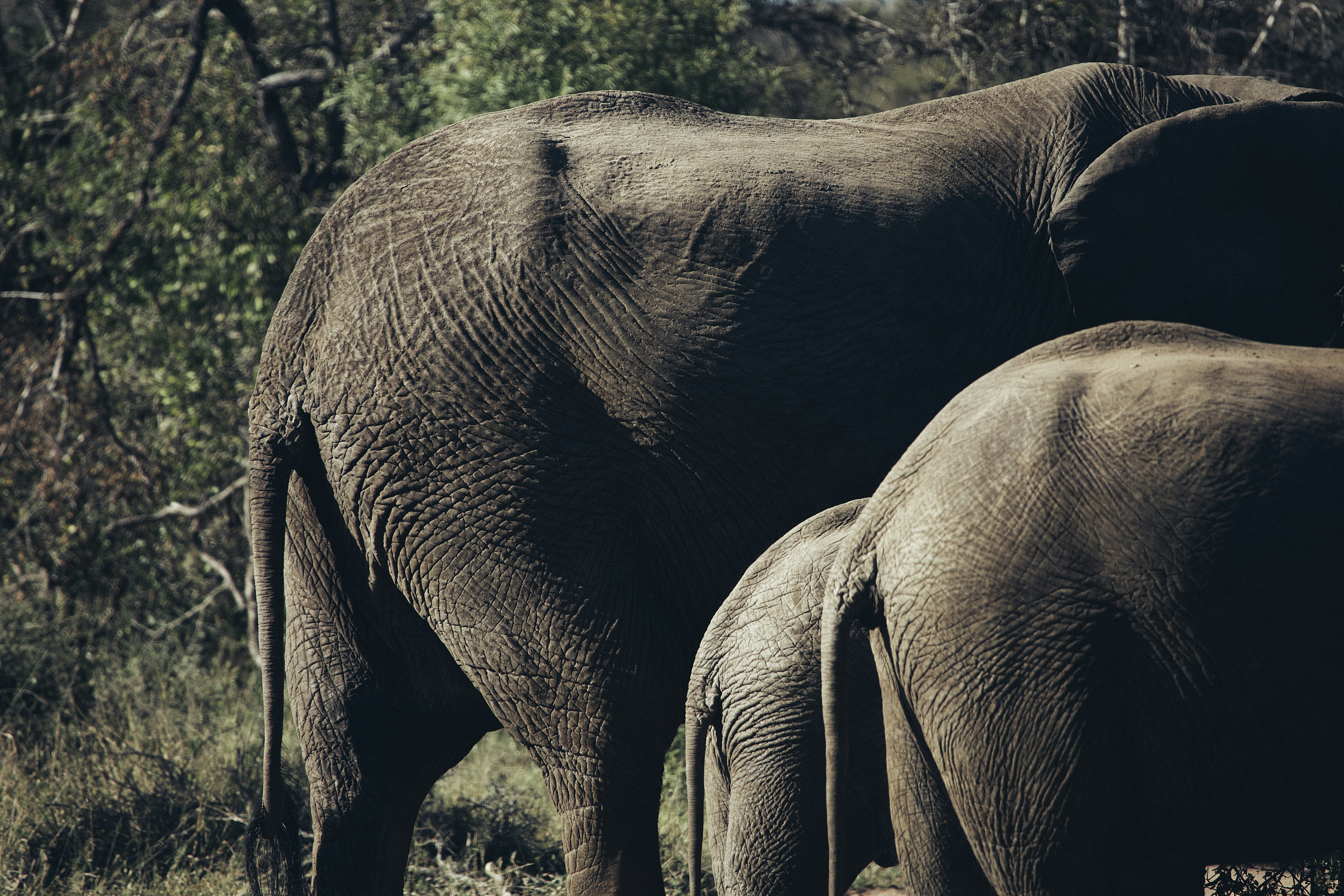 Photo by miguelalcantara