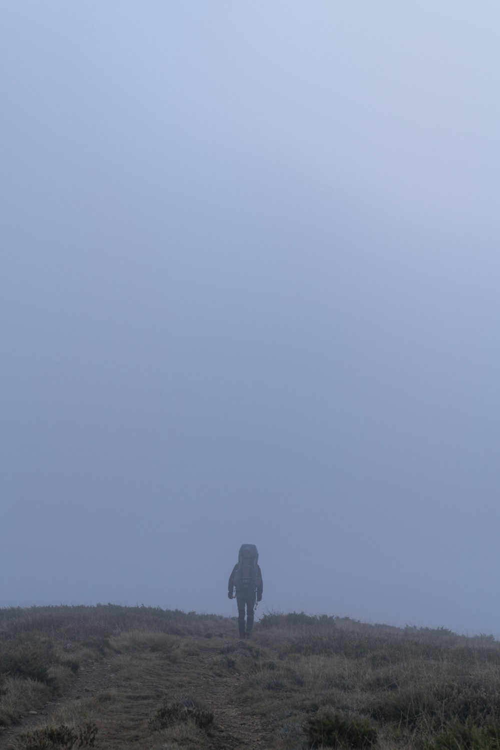 a person standing on top of a grass covered hill