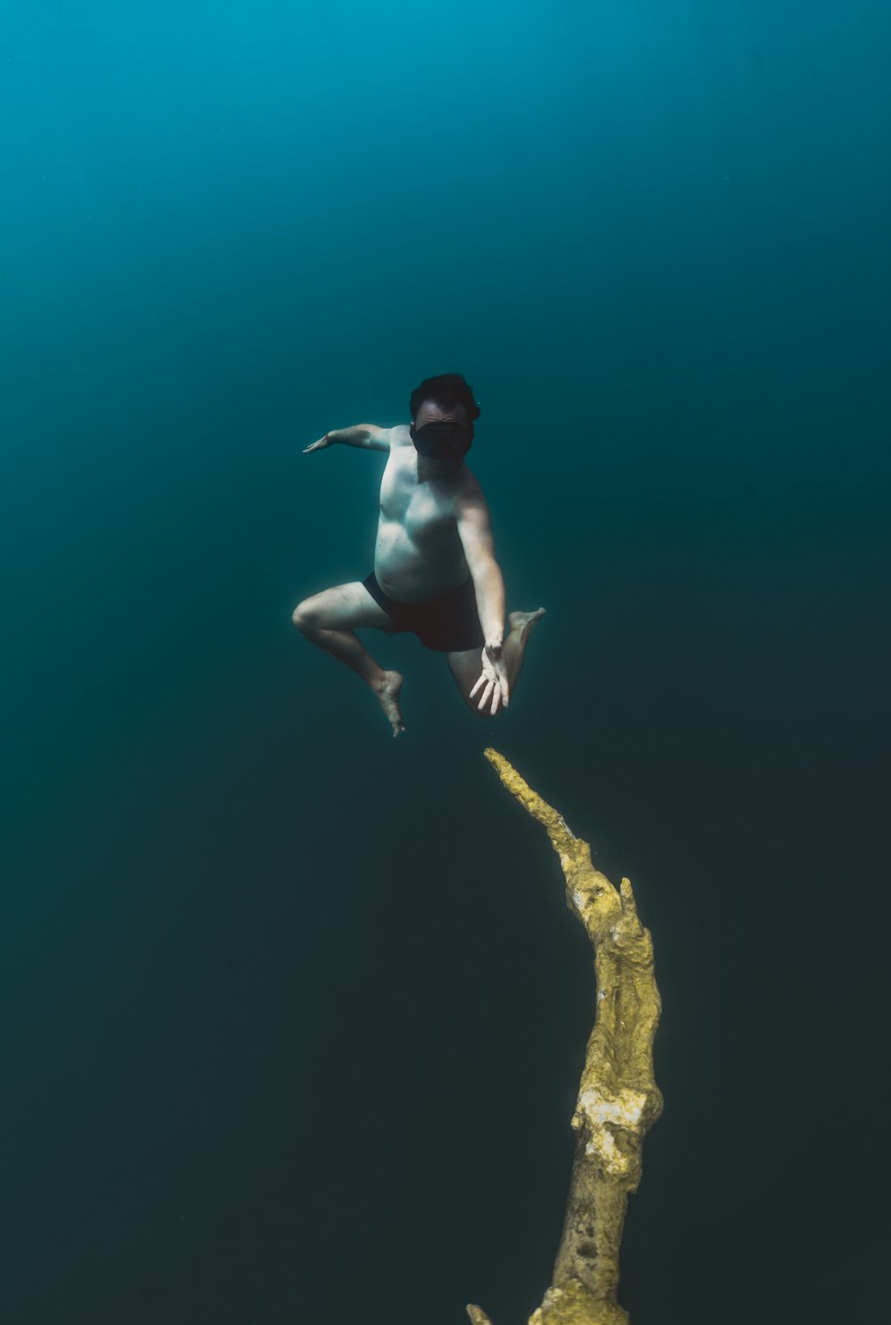 a man diving in the water near a tree branch