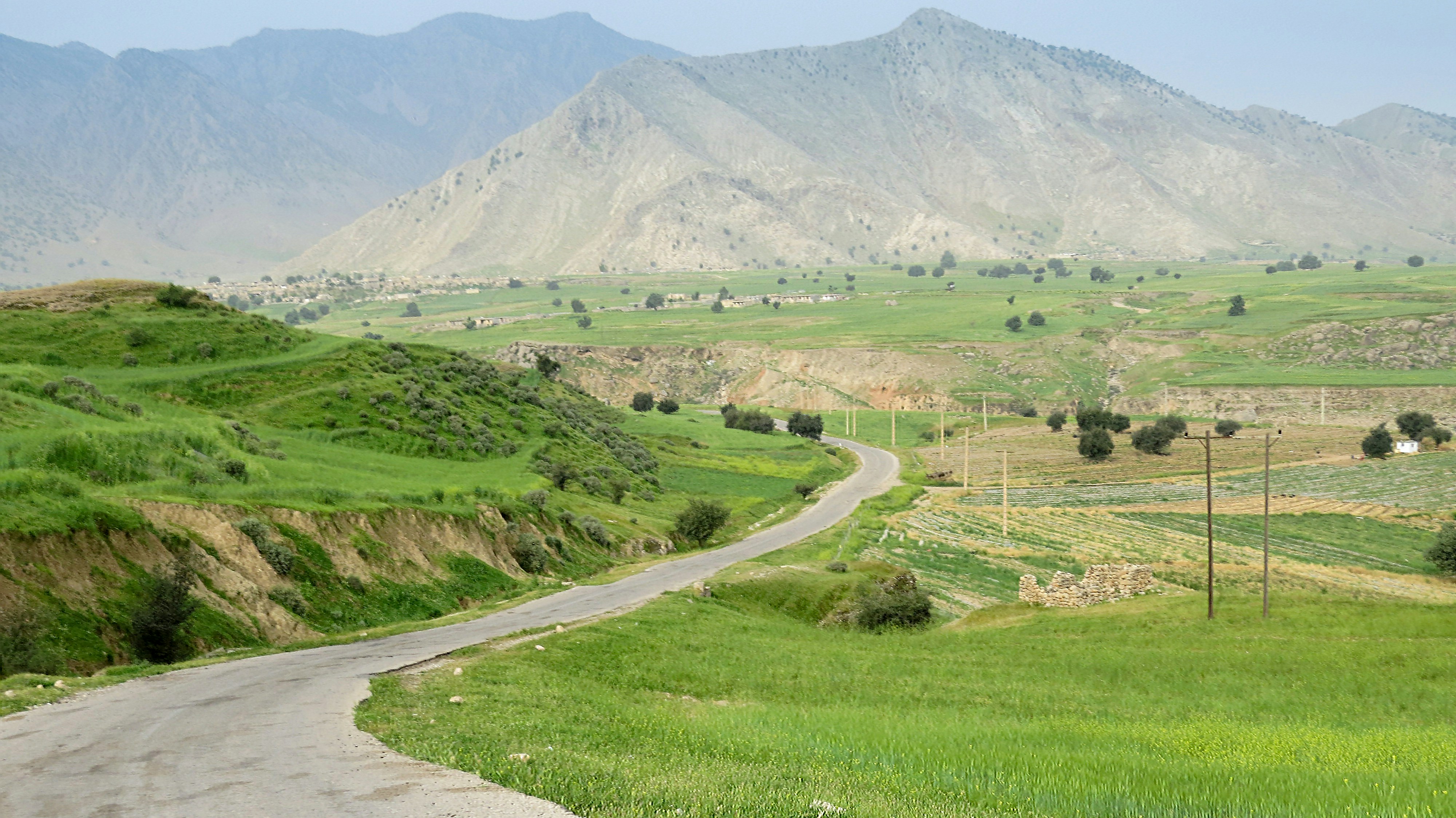 Photo by aliarjmandi