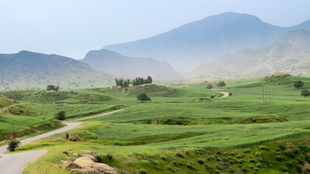 a road winding through a lush green valley