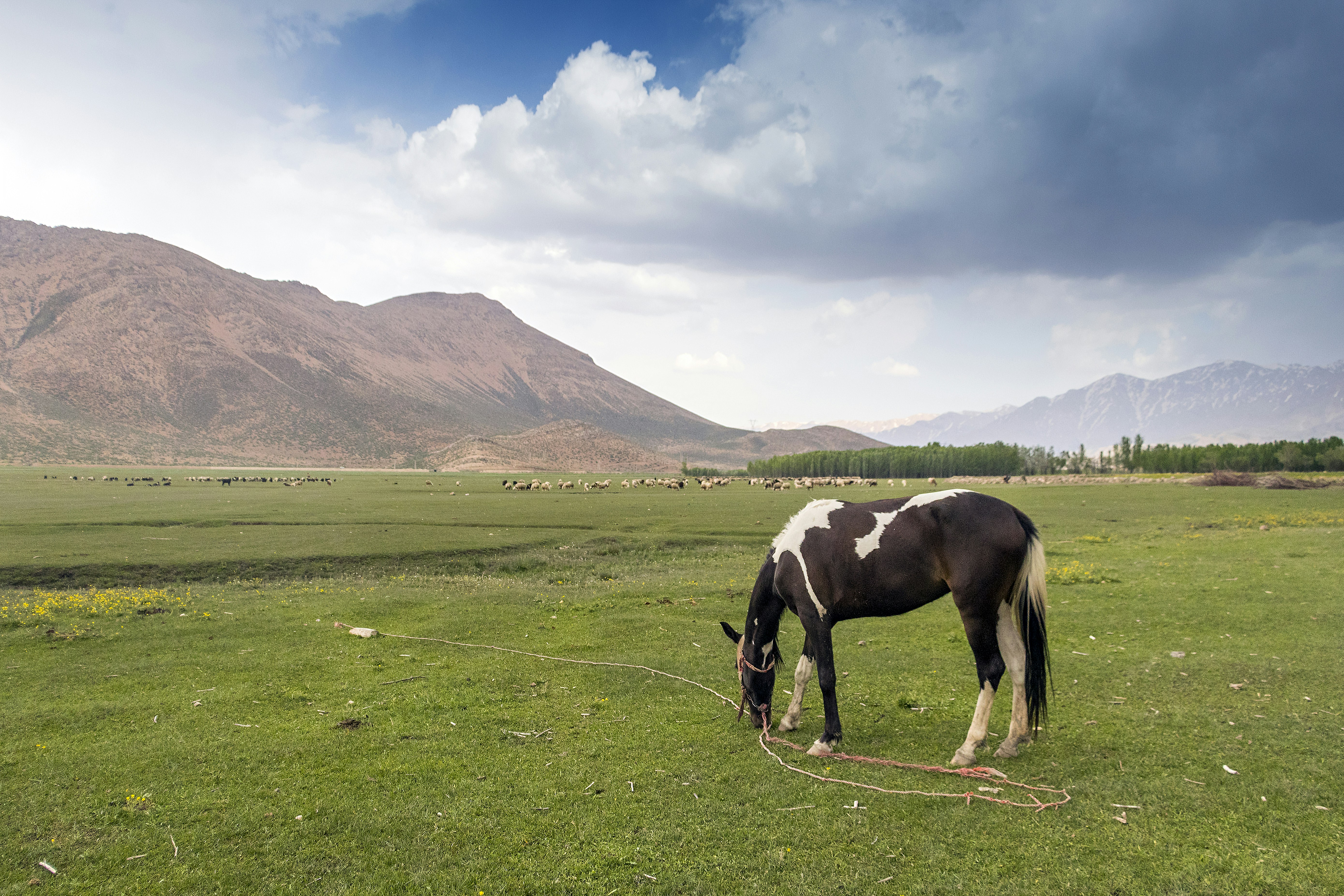 Photo by aliarjmandi