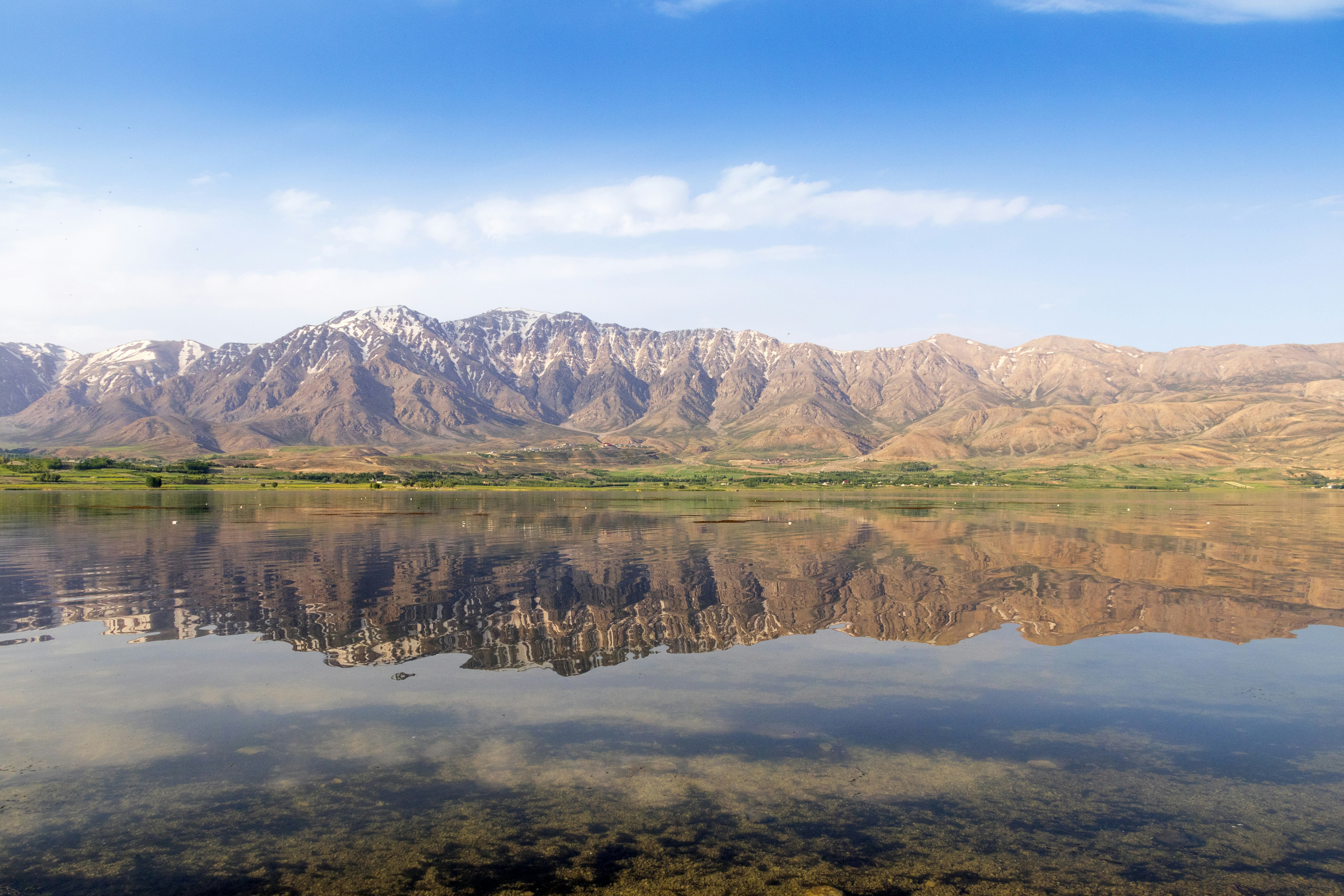 Photo by aliarjmandi