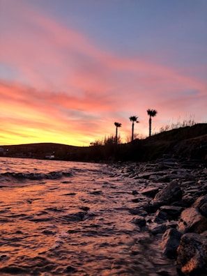 A vibrant coastal sunset over Acapulco Bay with silhouettes of palm trees