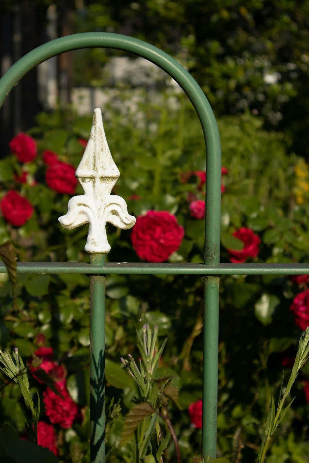 a green metal fence with red flowers in the background