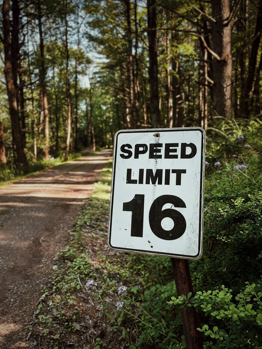 a speed limit sign is posted on a pole