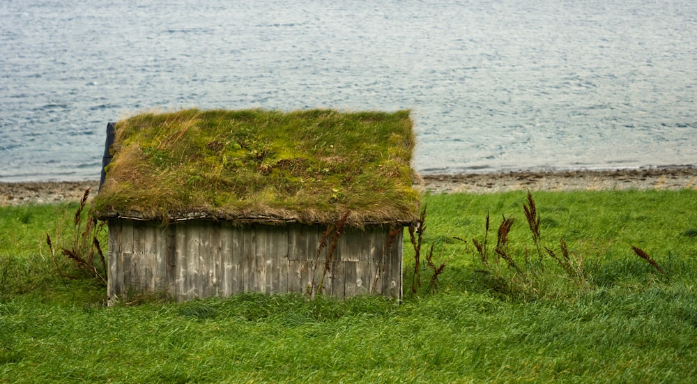a small hut with grass on top of it