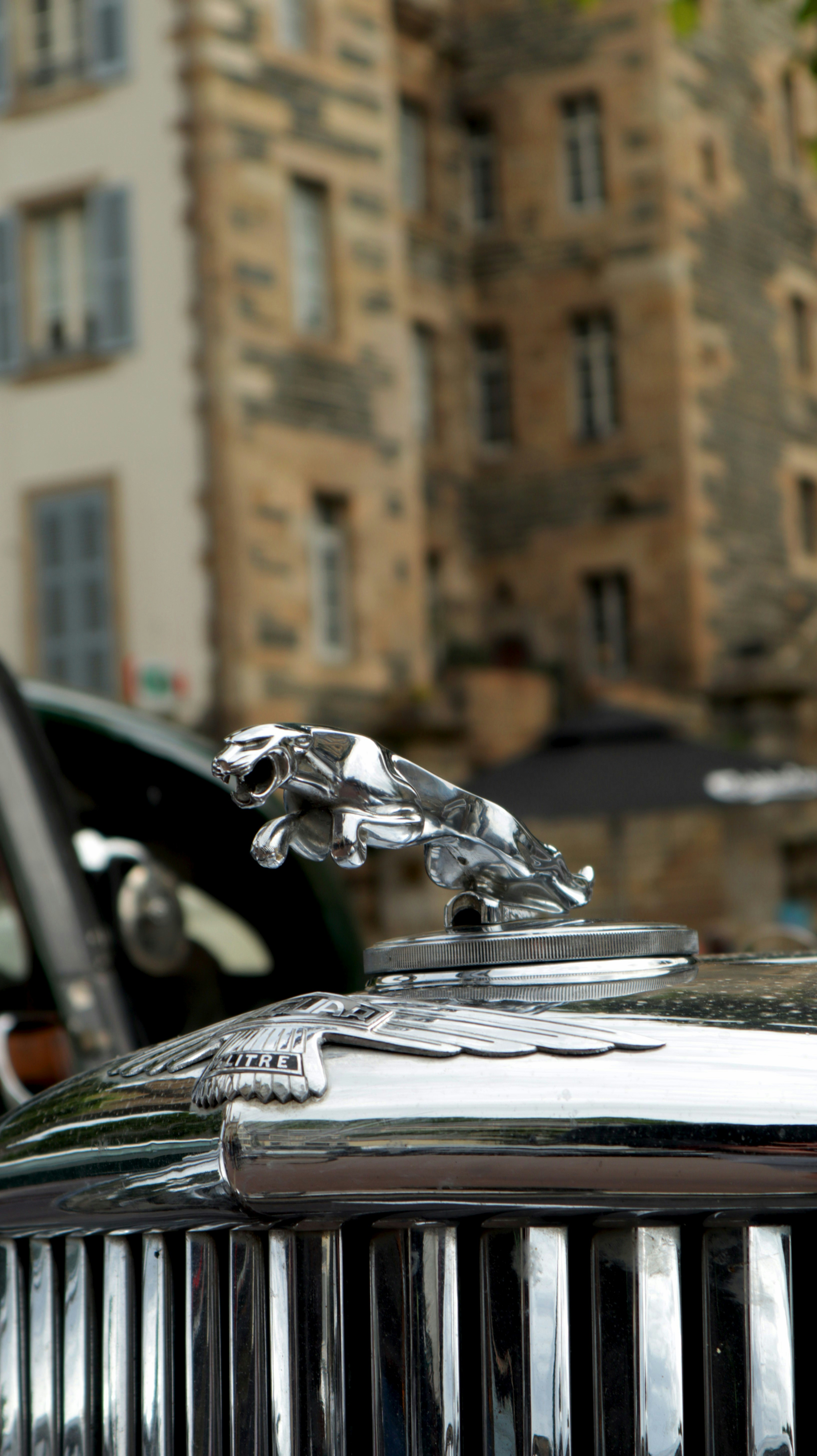 a close up of the hood ornament of a car