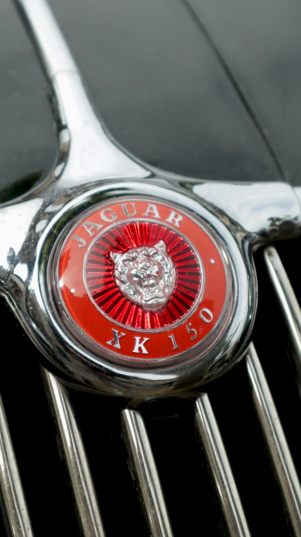 the emblem on the front of a car