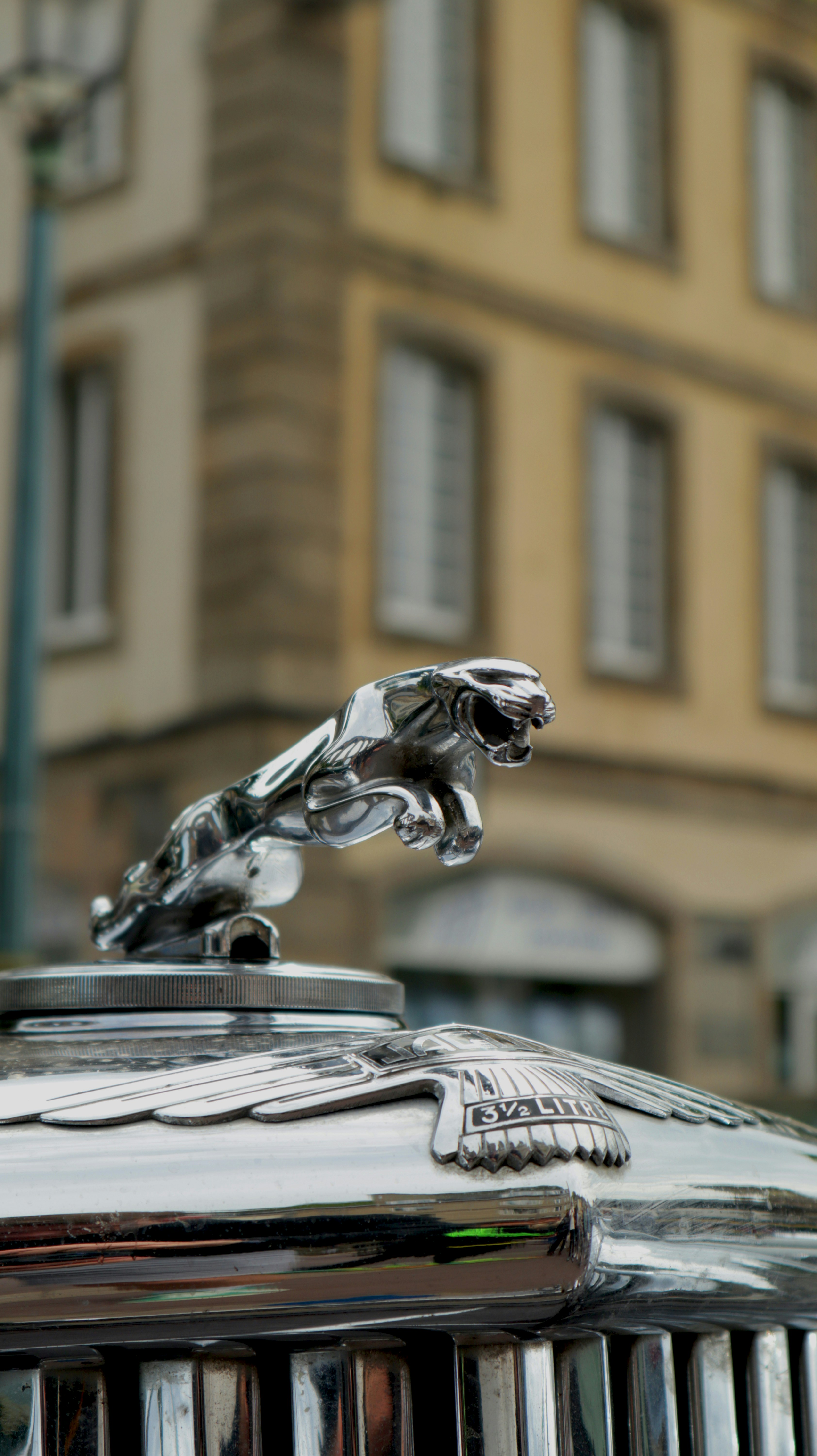 a close up of the hood ornament on a car